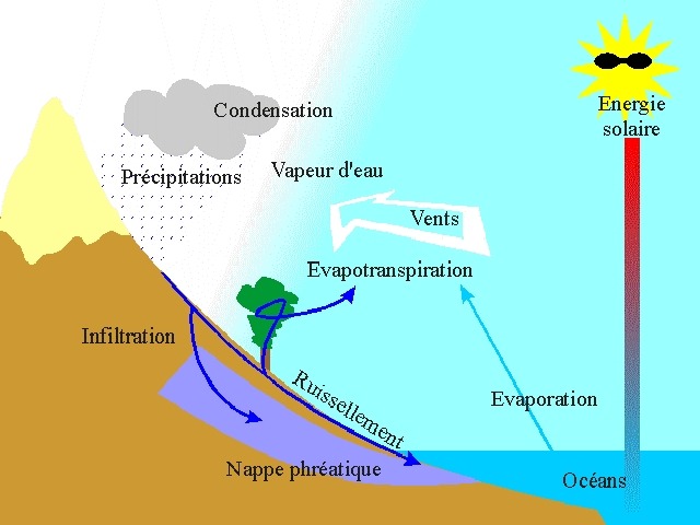 cycle de l'eau 